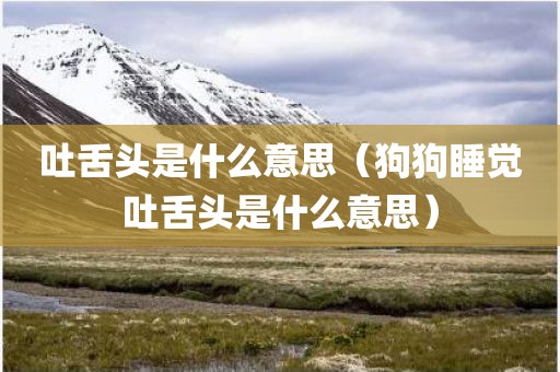 吐舌头是什么意思(狗狗睡觉吐舌头是什么意思)