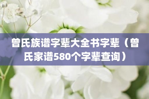 曾氏族谱字辈大全书字辈（曾氏家谱580个字辈查询）