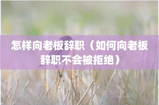 怎样向老板辞职（如何向老板辞职不会被拒绝）