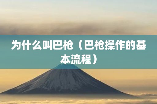 为什么叫巴枪（巴枪操作的基本流程）
