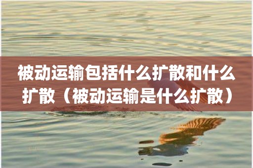 被动运输包括什么扩散和什么扩散(被动运输是什么扩散) 被动运输包括什么扩散和什么扩散(被动运输是什么扩散)