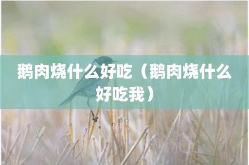 鹅肉烧什么好吃（鹅肉烧什么好吃我）
