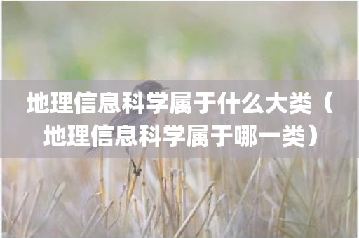 地理信息科学属于什么大类（地理信息科学属于哪一类）