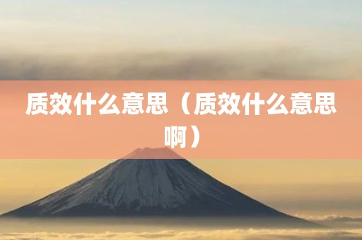 质效什么意思（质效什么意思啊）