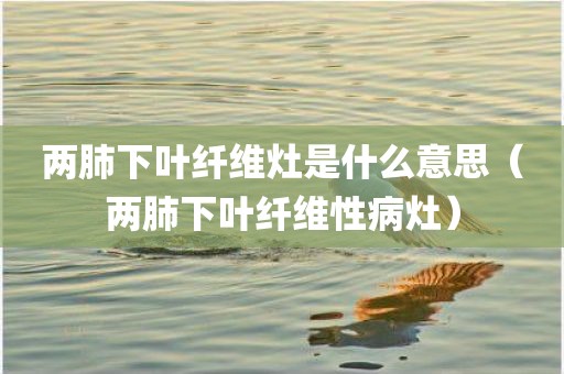 两肺下叶纤维灶是什么意思(两肺下叶纤维性病灶)