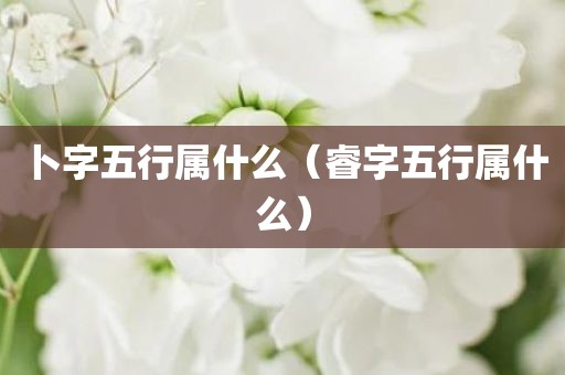 卜字五行属什么（睿字五行属什么）