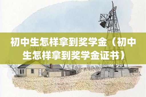 初中生怎样拿到奖学金（初中生怎样拿到奖学金证书）