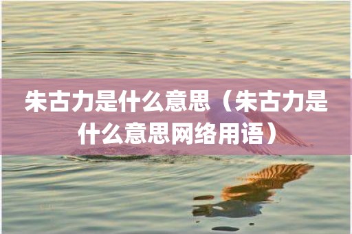 朱古力是什么意思（朱古力是什么意思网络用语）