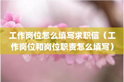 工作岗位怎么填写求职信（工作岗位和岗位职责怎么填写）