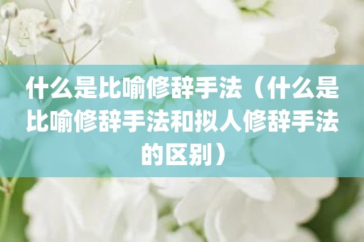 什么是比喻修辞手法（什么是比喻修辞手法和拟人修辞手法的区别）