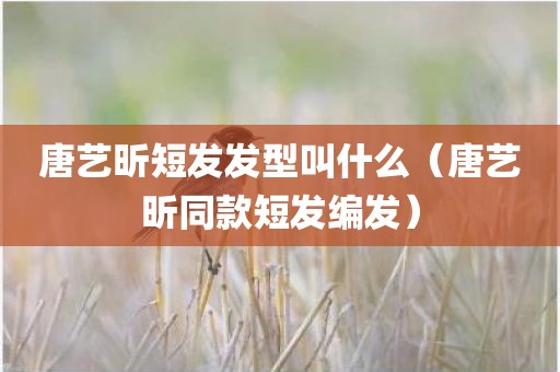 唐艺昕短发发型叫什么（唐艺昕同款短发编发）