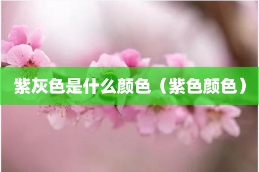 紫灰色是什么颜色（紫色颜色）