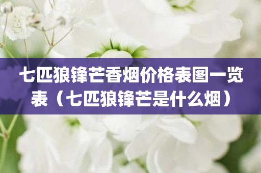 七匹狼锋芒香烟价格表图一览表（七匹狼锋芒是什么烟）