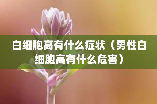 白细胞高有什么症状（男性白细胞高有什么危害）