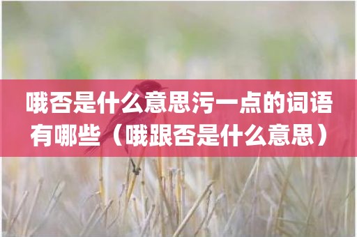 哦否是什么意思污一点的词语有哪些（哦跟否是什么意思）