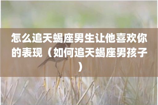 怎么追天蝎座男生让他喜欢你的表现（如何追天蝎座男孩子）
