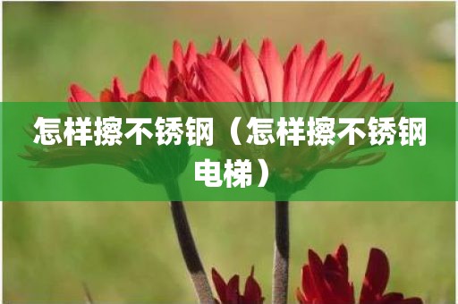 怎样擦不锈钢（怎样擦不锈钢电梯）