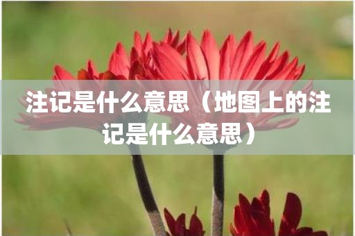注记是什么意思（地图上的注记是什么意思）