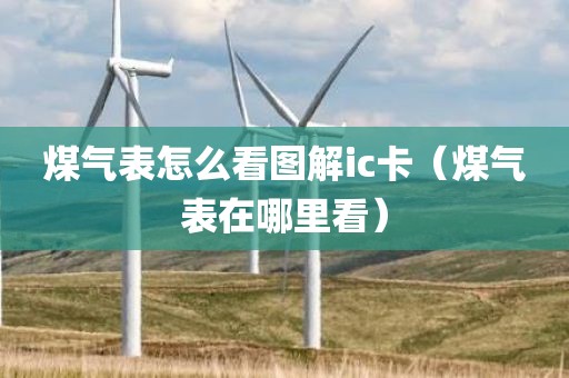 煤气表怎么看图解ic卡（煤气表在哪里看）