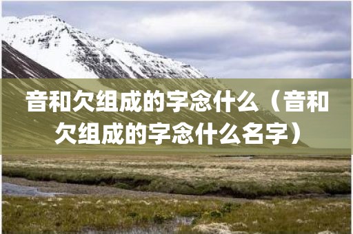 音和欠组成的字念什么（音和欠组成的字念什么名字）