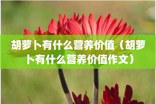 胡萝卜有什么营养价值（胡萝卜有什么营养价值作文）
