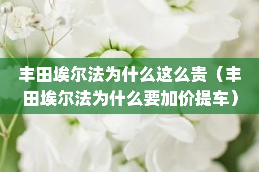 详细阅读:丰田埃尔法为什么这么贵(丰田埃尔法为什么要加价提车) 丰田埃尔法为什么这么贵(丰田埃尔法为什么要加价提车)