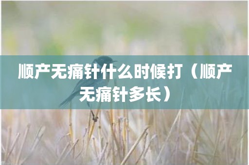 顺产无痛针什么时候打（顺产无痛针多长）
