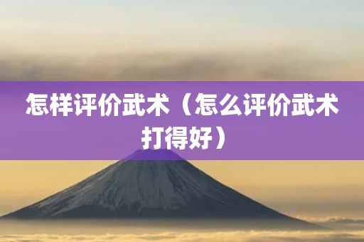 怎样评价武术（怎么评价武术打得好）