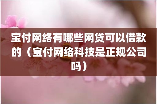 宝付网络有哪些网贷可以借款的（宝付网络科技是正规公司吗）