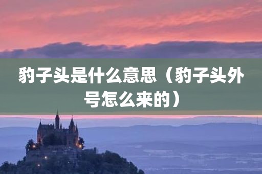 豹子头是什么意思（豹子头外号怎么来的）