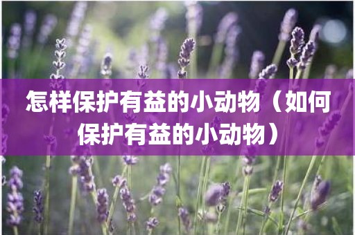 怎样保护有益的小动物（如何保护有益的小动物）