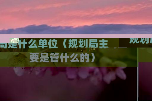 规划局是什么单位（规划局主要是管什么的）