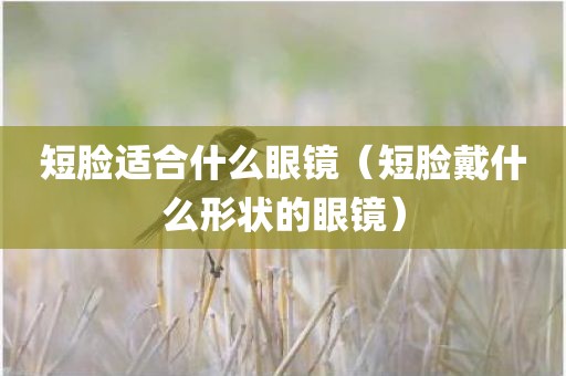 短脸适合什么眼镜（短脸戴什么形状的眼镜）