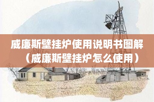 威廉斯壁挂炉使用说明书图解（威廉斯壁挂炉怎么使用）
