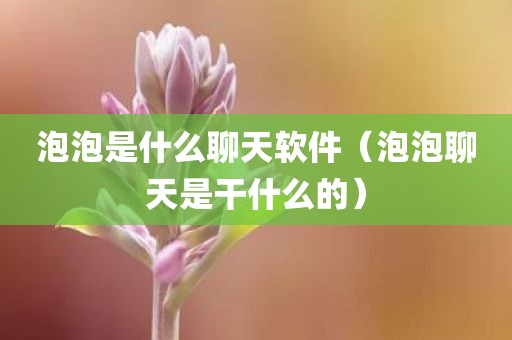 泡泡是什么聊天软件(泡泡聊天是干什么的)