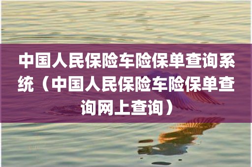 中国人民保险车险保单查询系统（中国人民保险车险保单查询网上查询）
