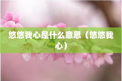 悠悠我心是什么意思（悠悠我心）