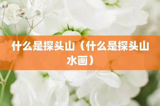 什么是探头山（什么是探头山水画）