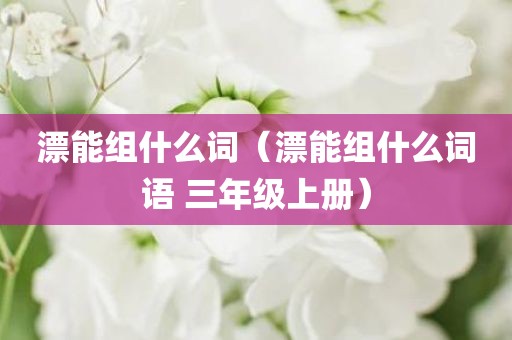 漂能组什么词(漂能组什么词语 三年级上册)