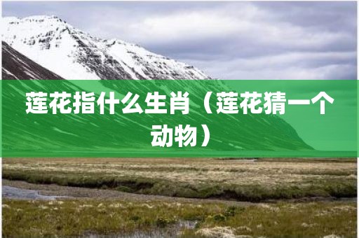 莲花指什么生肖（莲花猜一个动物）