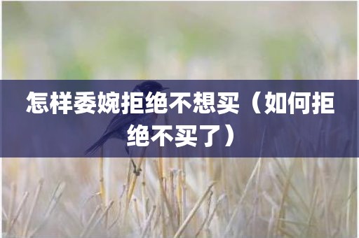 怎样委婉拒绝不想买（如何拒绝不买了）