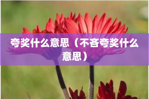 夸奖什么意思（不吝夸奖什么意思）