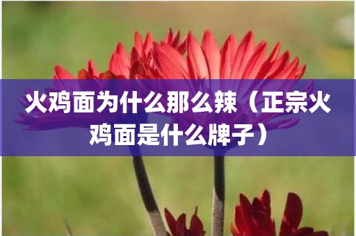 火鸡面为什么那么辣(正宗火鸡面是什么牌子) 火鸡面为什么那么辣(正宗火鸡面是什么牌子)
