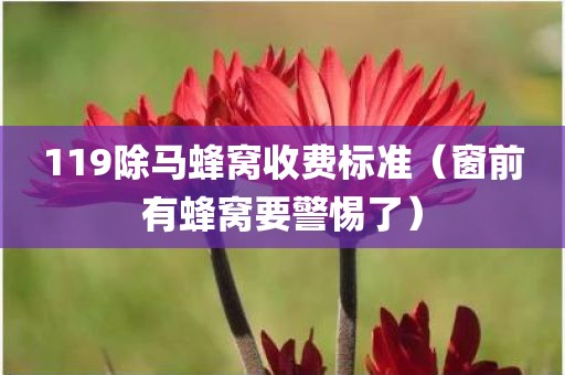 119除马蜂窝收费标准（窗前有蜂窝要警惕了）