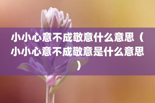 小小心意不成敬意什么意思（小小心意不成敬意是什么意思）