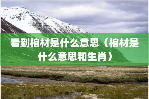 看到棺材是什么意思(棺材是什么意思和生肖)