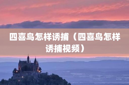 四喜鸟怎样诱捕(四喜鸟怎样诱捕视频)