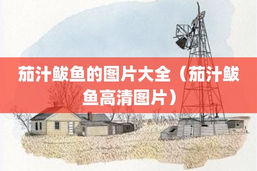 茄汁鲅鱼的图片大全（茄汁鲅鱼高清图片）