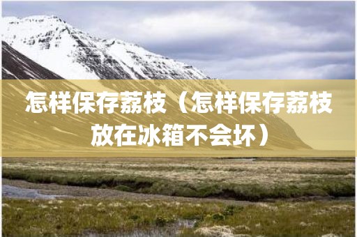怎样保存荔枝（怎样保存荔枝放在冰箱不会坏）