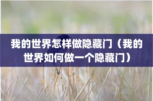 我的世界怎样做隐藏门（我的世界如何做一个隐藏门）